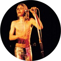 Iggy & The Stooges - More Power vinyl cover