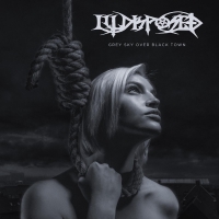 Illdisposed - Grey Sky Over Black Town Grey vinyl cover