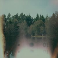 Iluiteq - The Loss Of Wilderness vinyl cover
