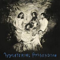 Immaterial Possession - Immaterial Possession vinyl cover