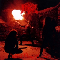 Immortal - Diabolical Fullmoon Mysticism Ltd Beer vinyl cover