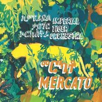 Imperial Tiger Orchestra - Mercato vinyl cover