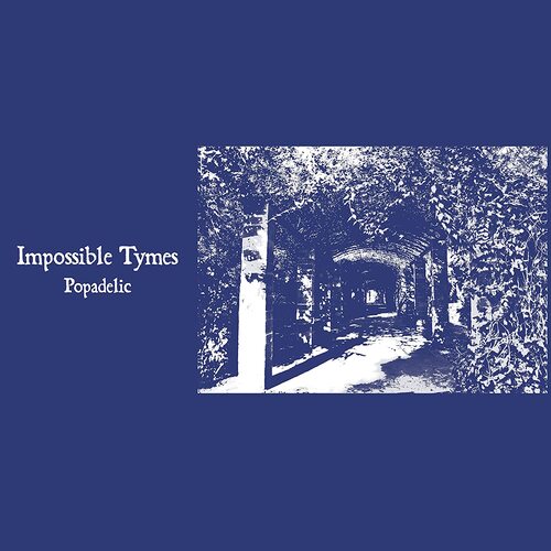 Impossible Tymes - Popadelic vinyl cover