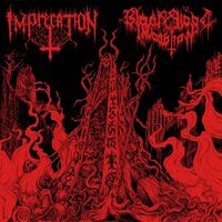 Imprecation  /  Black Blood Invocation - Diabolical Flames Of The Ascended Plague vinyl cover