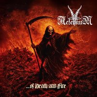 In Aeternum - ...of Death and Fire vinyl cover