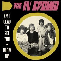 In Crowd - Am I Glad To See You / Blow Up vinyl cover