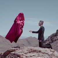 In The Presence Of Wolves - Of Two Minds, Stages 1-2: The Ape And The Cage vinyl cover