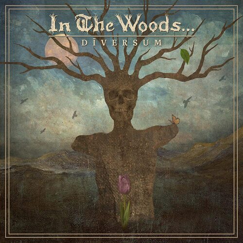 In The Woods... - Diversum vinyl cover