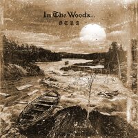 In the Woods... - Otra vinyl cover