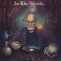 In The Woods - Pure vinyl cover