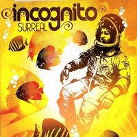 Incognito - Surreal vinyl cover