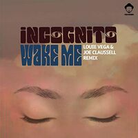 Incognito - Wake Me vinyl cover