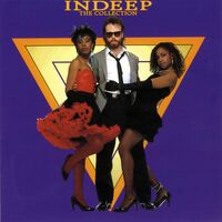Indeep - Last Night A DJ Saved My Life 4 Mixes vinyl cover