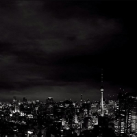 Indochine - Black City Parade vinyl cover