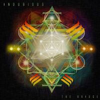 Indubious - The Bridge vinyl cover