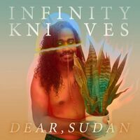 Infinity Knives - Dear Sudan vinyl cover