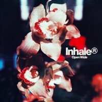 Inhaler - Open Wide vinyl cover
