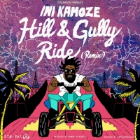 Ini Kamoze - Hill And Gully Ride Remix vinyl cover