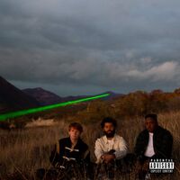 Injury Reserve - Injury Reserve vinyl cover