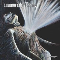 Innumerable Forms - Pain Effulgence vinyl cover