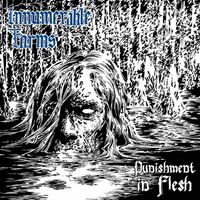Innumerable Forms - Punishment In Flesh vinyl cover