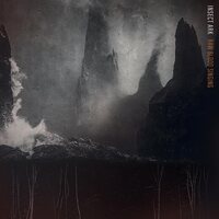 Insect Ark - Raw Blood Singing vinyl cover