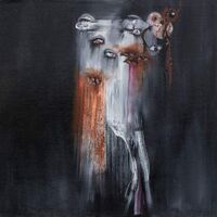 Insect Ark - The Vanishing vinyl cover