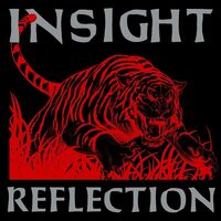 Insight - Reflection vinyl cover