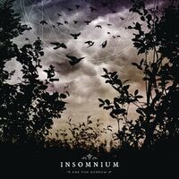 Insomnium - One For Sorrow 2018 vinyl cover