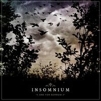 Insomnium - One For Sorrow vinyl cover