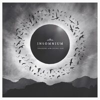Insomnium - Shadows Of The Dying Sun 2025 vinyl cover