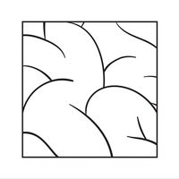 Intellexual - Intellexual vinyl cover