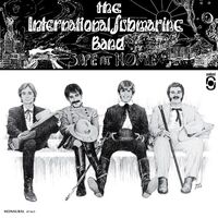 International Submarine Band - Safe At Home All Analog Mono Edition vinyl cover