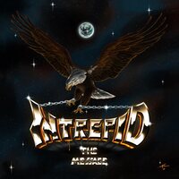 Intrepid - The Message vinyl cover