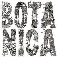 Iori Wakasa - Botanica vinyl cover