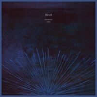 Irah - Diamond Grid vinyl cover