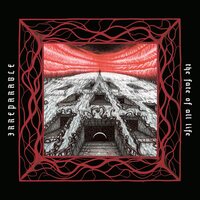 Irreparable - Fate Of All Life vinyl cover