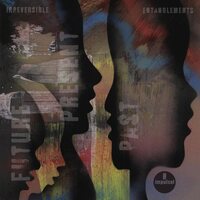 Irreversible Entanglements - Future Present Past vinyl cover