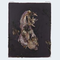 Isak Edberg - Belt Of Orion vinyl cover
