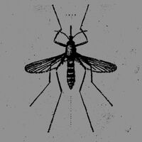 Isis (Rock) - Mosquito Control vinyl cover