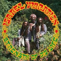 Israel Vibration - Strength Of My Life vinyl cover