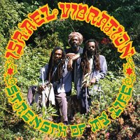 Israel Vibration - Strength of My Life vinyl cover