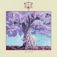 Iterum Nata - Bardo Disorder vinyl cover