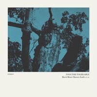 Ivan the Tolerable - Black Water/Brown Earth vinyl cover