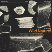 Ivan the Tolerable - Wild Nature! vinyl cover