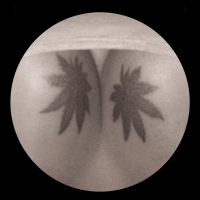 J. Albert - Small Room vinyl cover