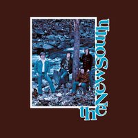 J.D. Crowe and The New South - The New South (Expanded) (Root Beer) vinyl cover