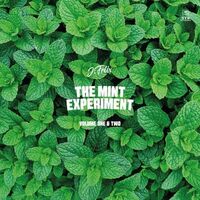 J-Felix - Mint Experiment Vol 1 & 2 vinyl cover