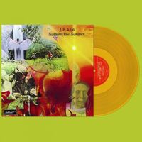 J.k. & Co. - Suddenly One Summer vinyl cover