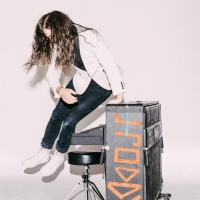 J Roddy Walston & The Business - Destroyers Of The Soft Life vinyl cover
